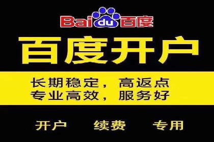 百度竞价广告投放的ROI优化：经典案例分享